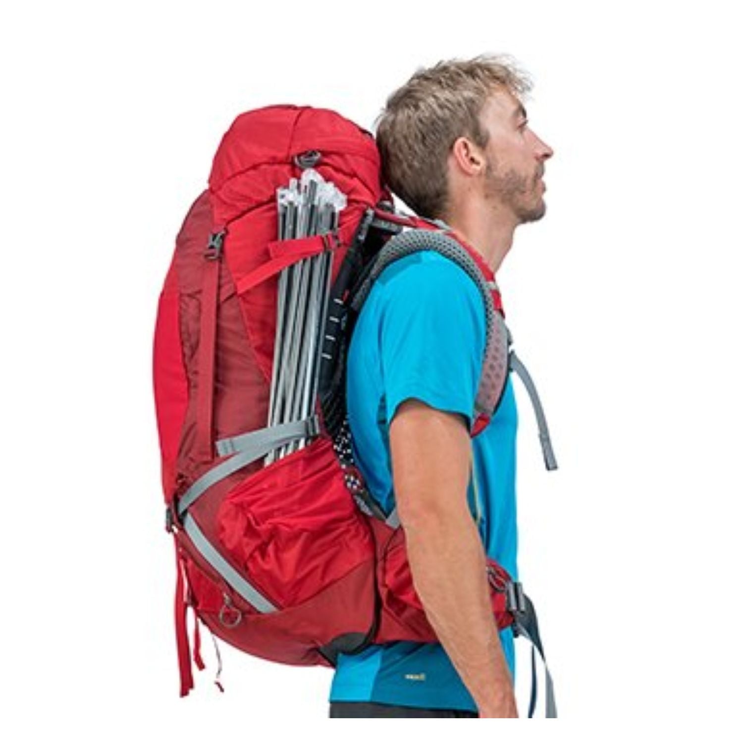 Osprey Atmos AG 65 Backpack with Raincover - Large - Men's Backpacking