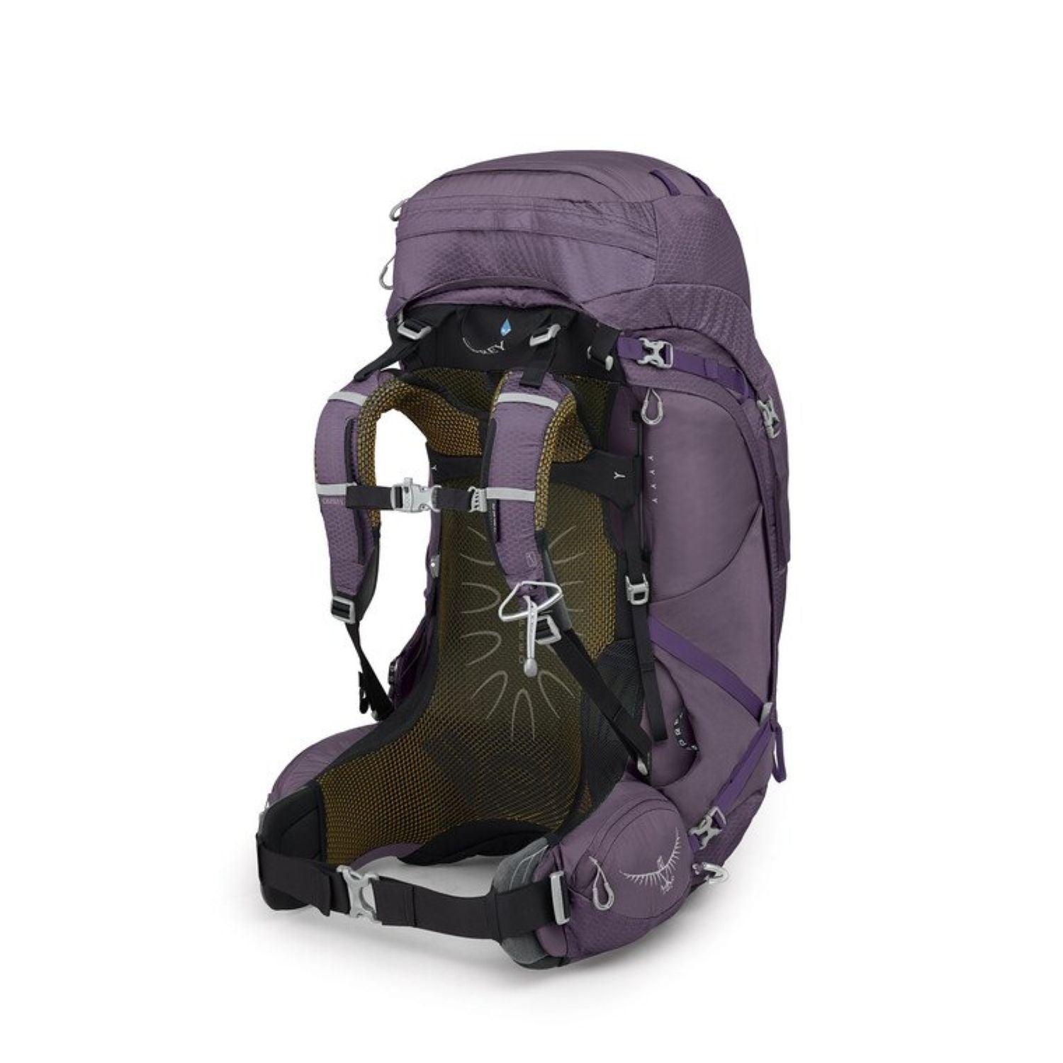 Osprey Aura AG 65 Backpack - Medium - Women's Backpacking