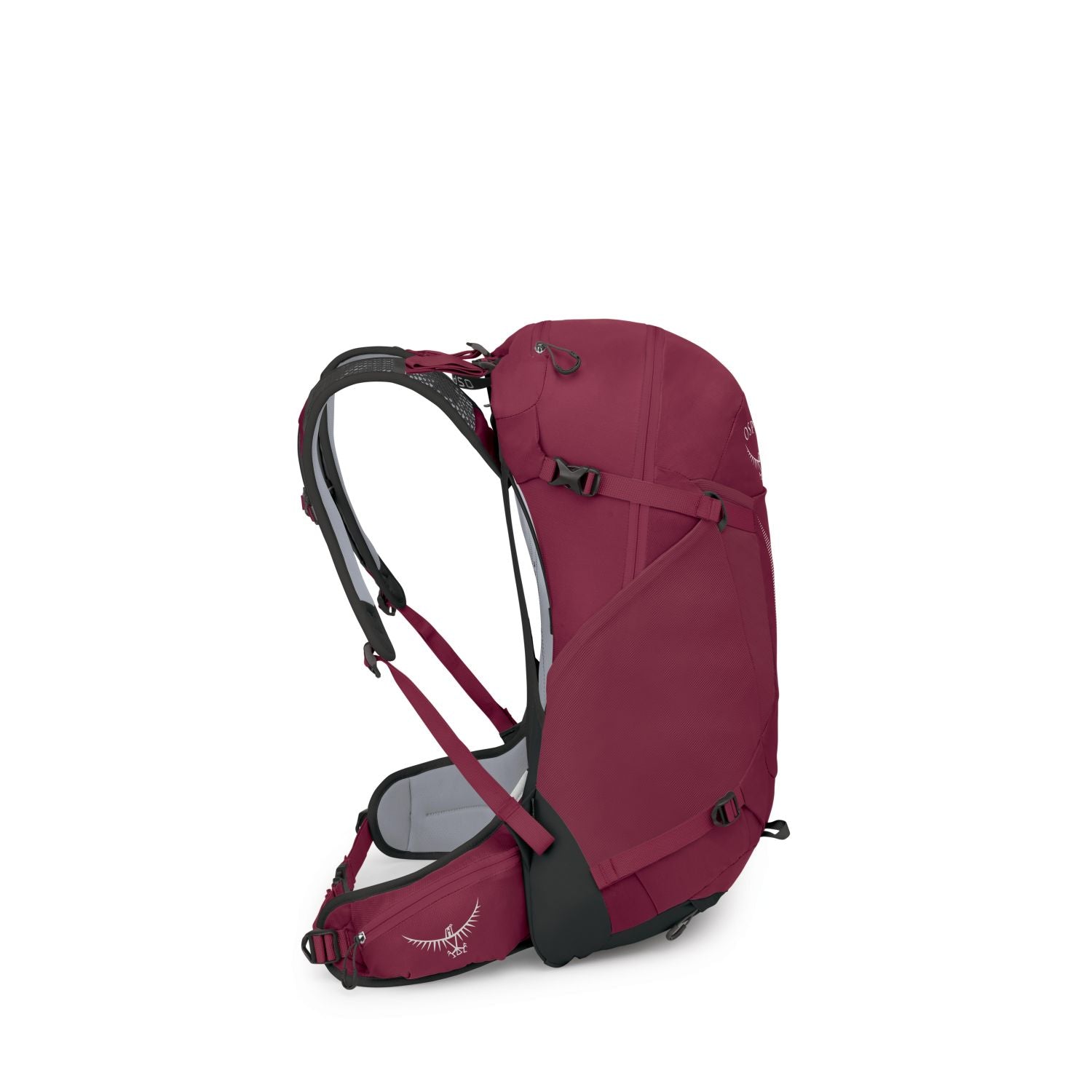 Osprey Hikelite 26 Backpack - Hiking - Everyday